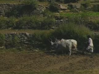 صور Agriculture Rajasthan جمعيّة