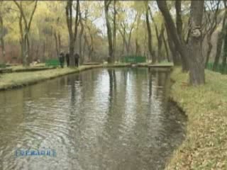 صور Alma River trout farm ألحيوَانَات