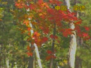 صور Autumn in Chengde ألطَّقص