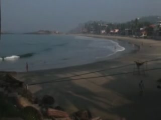 صور Beach in Kovalam منتجع