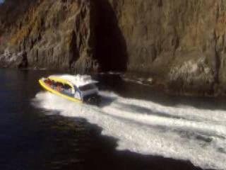 صور Boat Cruises in Tasmania جولة