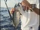 Cayman Islands Fishing (Great Britain)