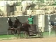 Chariot races in ancient city (Jordan)