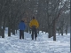 Cross-country Ski in Sapporo (Japan)