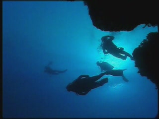 صور Diving Solomon Islands غوص