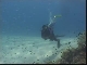 Diving in Fiji