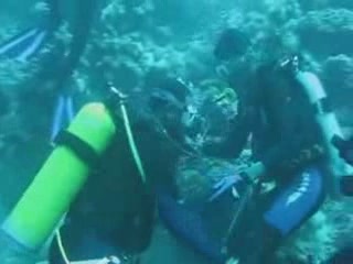 صور Diving in Jeddah غوص