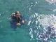 Diving in Kash (Turkey)