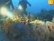 Diving in Omis