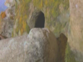 صور Dolmens in National Museum of Adygea عمارة