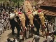 Elephant Festival in India