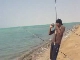 Fishing in Jeddah (沙特阿拉伯)