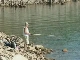 Fishing on the Bileca lake (Bosnia and Herzegovina)