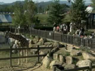 صور Fukuyama City Zoo ألحيوَانَات