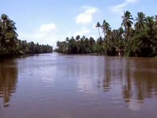 صور Kerala backwaters المناظر الطبيعية