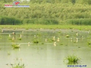 صور Lake Beleu بحيرة