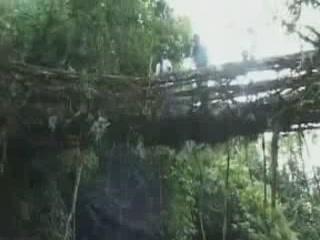 صور Living bridges of Cherrapunji ألطَّقص