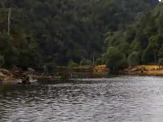 صور Macquarie Harbour Penal Station جزيرة