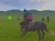 Mongolian rodeo