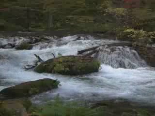 صور Oirase Gorge المناظر الطبيعية