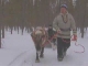 Riding on Reindeer in Posio (フィンランド)