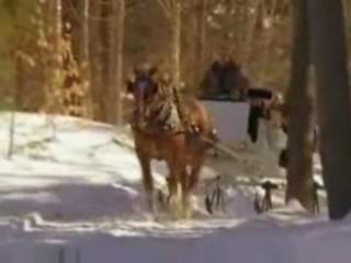 صور Sleigh Rides in New Hampshire تسلية