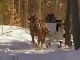 Sleigh Rides in New Hampshire (アメリカ合衆国)