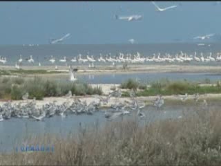 صور Swan Islands, Nature Reserve متنزه وطني