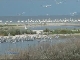 Swan Islands, Nature Reserve (Ukraine)