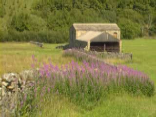 صور Yorkshire Dales ألطَّقص