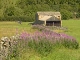 Yorkshire Dales (Great Britain)