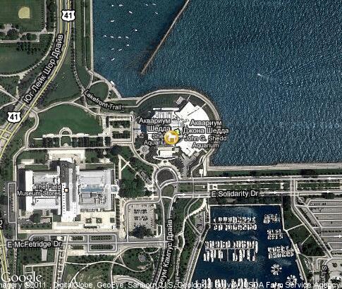 マップ: Shedd Aquarium