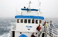 Whale Safari, Andenes Images