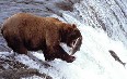 Alaska Images