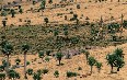 Bale Mountains National Park صور