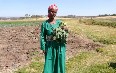 Ethiopia, populations 写真