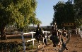 Highgate Ostrich Show Farm صور