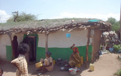 The city of Jijiga is known primarily for the fact that there grows Boswellia tree (Latin: Boswellia sacra), from which frankincense is produced