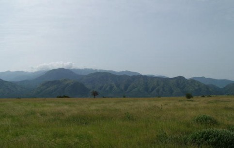 Nechisar National Park is rich in forests and lakes. Here are many monkeys, zebras, gazelles, antelopes, hippos and crocodiles