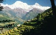 尼泊尔、自然 图片