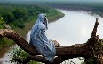 Omo River صور