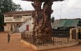 Ouidah صور