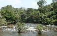 Sierra Leone, nature صور