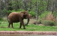 Sierra Leone, nature صور