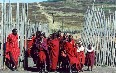 Tanzania Maasai صور