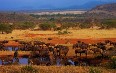Serengeti National Park 写真