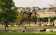 Tuileries Garden 图片