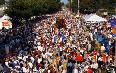 Acadian Tintamarre Festival in Caraquet Images