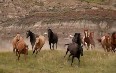 Alberta by Horseback صور