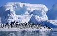 Antarctica Images